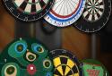 Pro Darts 2014 screenshot 3