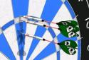 Pro Darts 2014 screenshot 6