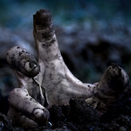 Judgment day: zombie attack