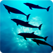 The depths of the Ocean 3D