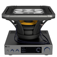 Subwoofer Speaker LWP