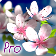 Spring Flowers 3D Parallax