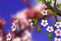 Spring Flowers 3D Parallax screenshot 1