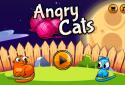 Angry Cats screenshot 6