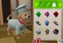 PS Vita Pets: Your puppy screenshot 10