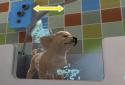 PS Vita Pets: Your puppy screenshot 2