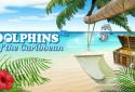 Dolphins of the Caribbean screenshot 1