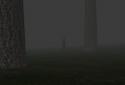 Trapped in the Forest screenshot 6