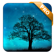 Blue Night Live Wallpaper