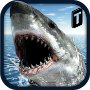Crazy Shark 3D Sim