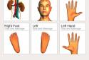 Acupressure body screenshot 2
