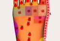 Acupressure body screenshot 4
