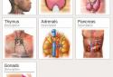 Acupressure body screenshot 5