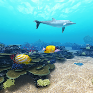 Tropical Ocean 360°