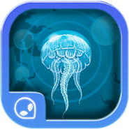 Follow the jellyfish!