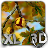 Autumn Leaves in HD Gyro 3D XL