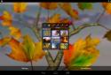 Autumn Leaves in HD Gyro 3D XL screenshot 11