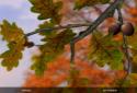 Autumn Leaves in HD Gyro 3D XL screenshot 14