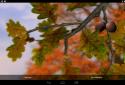 Autumn Leaves in HD Gyro 3D XL screenshot 21
