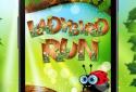 Ladybird Run screenshot 1