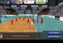 VolleySim screenshot 16