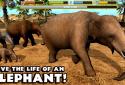 Elephant Simulator screenshot 11