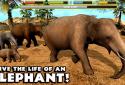 Elephant Simulator screenshot 6