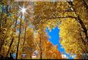 Beautiful autumn Live Wallpaper / Beautiful Autumn screenshot 10