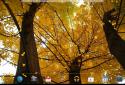 Beautiful autumn Live Wallpaper / Beautiful Autumn screenshot 12