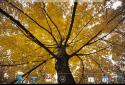 Beautiful autumn Live Wallpaper / Beautiful Autumn screenshot 15