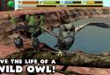Owl Simulator screenshot 6
