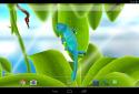 Chameleon 3D Live Wallpaper screenshot 4