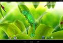 Chameleon 3D Live Wallpaper screenshot 7