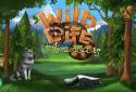 WildLife - America screenshot 1