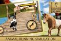 Wild Horse Simulator - 3D Run screenshot 2