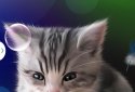 Sleepy Kitten Live Wallpaper screenshot 1