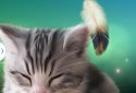 Sleepy Kitten Live Wallpaper screenshot 3