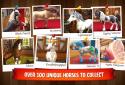 Horse Haven World Adventures screenshot 14