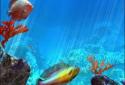 Tropical Ocean 3D LWP screenshot 1