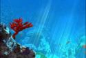 Tropical Ocean 3D LWP screenshot 6