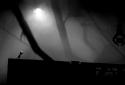 LIMBO screenshot 4