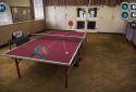 Table Tennis Touch screenshot 7