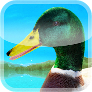 Ducks 3D Live Wallpaper FULL