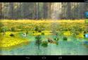 Ducks 3D Live Wallpaper FULL screenshot 18