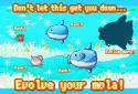 Survive! Mola Mola! screenshot 8