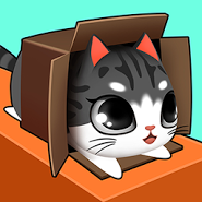 Kitty in the Box