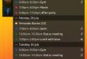 All-in-One Agenda widget screenshot 2