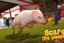 Pig Simulator screenshot 4
