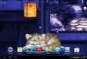 Sleeping Cat Live Wallpaper HD screenshot 4
