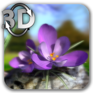 Nature Spring Flowers 3D Live